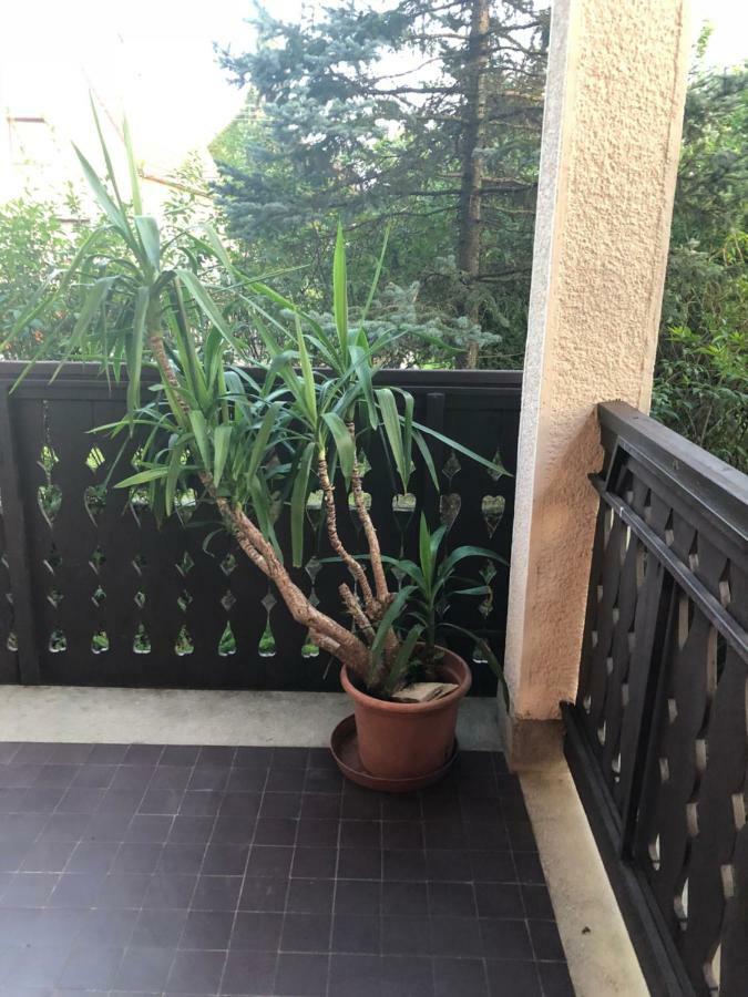 Veranda Apartman Nyiregyhaza Exterior photo